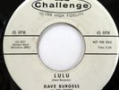 DAVE BURGESS 45 Lulu / I Don't Want to Know CHALLENGE teen VG+ Promo     Jr 2676