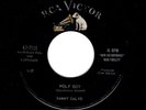 ROCKABILLY-SAMMY SALVO-WOLF CALL/MY PERFECT LOVE-RCA 7516