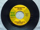 The Thirteenth Floor Elevators - Reverbaration 7