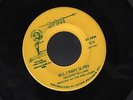 Hear 1967 Shadden and The King Lears Garage 45 (All I Want is You)