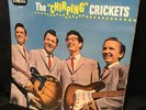 BUDDY HOLLY - THE CHIRPING CRICKETS CORAL LVA  9081 ROCK N ROLL