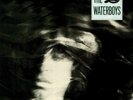 The Waterboys The Waterboys (Vinyl) 12