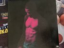 Kid Cudi Passion, Pain & Demon Slayin' Vinyl 2XLP U.S. Pressing EXCELLENT