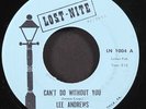 LEE ANDREWS & HEARTS: can't do without you / oh my love LOST NITE 7