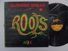 BURNING  SPEAR Institution SPEAR Killer  Roots Reggae 12