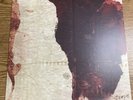 Gotye Like Drawing Blood Vinyl LP Out Of Print