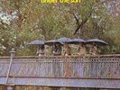 Under The Sun - Nucleus - Brand New LP - Fast Shipping  - Brand New -  Fast