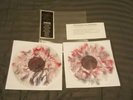 AMITIÉ DON’T TRY LET DIE Vinyl record 2xLP What I did wrong /15 wax mage emo