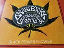 Brant Bjork & the Desert Punk Band (Kyuss)-Black Power Flower Vinyl Lp