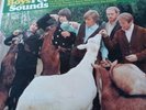 Original Beach Boys Pet Sounds LP Capitol Record DT 2458