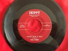 Star Combo, Skippy 102, Mister Rock & Roll & You Don't Care, Guitar rocker  VG+