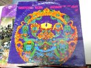GRATEFUL DEAD 