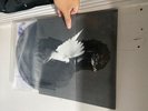 King Push - Darkest Before Dawn: The Prelude by Pusha T (Record, 2016)