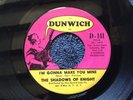 THE SHADOWS OF KNIGHT - I’M GONNA MAKE YOU MINE rare USA 1966 GARAGE PUNK MINT-