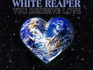 White Reaper You Deserve Love (Vinyl) (UK IMPORT)