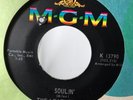 The Leather Boy MGM RARE MOD GARAGE POP PSYCH 7