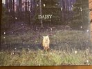 Daisy by Brand New (Record, 2009) LP Vinyl Taking Back Sunday Deja Entendu