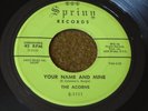 The Acorns - Your Name and Mine / Young 45 rpm Doo Wop on SPRING