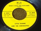 Little Ronnie and th Chromatics - What A Day This Have Been SOUL Funk 45 rpm