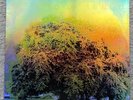YO LA TENGO - FADE (2013) Vinyl LP + 7” Deluxe Edition, Matador, NM/EX+