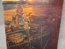 Bobby Brown LP The Enlightening Beam of Axonda 1972 Folk Psych VG+ Vinyl Record