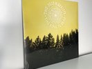 The Decemberists The King Is Dead vinyl