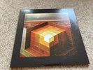 In the Future by Black Mountain (Record, 2008) Vinyl