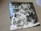Rage Against The Machine Self-Titled Debut LP DUTCH BOWN VINYL [Ex/Ex]