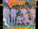 GRUPO PEGASSO  LP / se tambalea / 33 rpm vinyl record