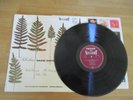 PHILIPS 835 570 AY HI-FI STEREO SIBELIUS VIOLIN CONCERTO DAVID OISTRAKH ORMANDY