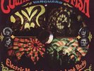 COUNTRY JOE  FISH ELECTRIC MUSIC FOR HIS MIND AND BODY VANGUARD VSD 79244 LP N/M