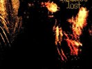 Paradise Lost - Gothic - 2013 Peaceville  - Vinyl