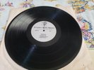 Promo LP Creative Radio Shows Demo 33 1/3 Beatles Beach Boys Buddy Holly 88888