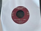 Pull Over 45 rare vinyl by Rex Hush