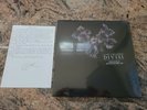 A LOT LIKE BIRDS -  Divisi LP, LTD CLEAR & BLACK SPLATTERED VINYL NEW w LYRICS