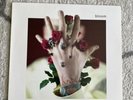 Bloom by Machine Gun Kelly (Record, 2017)