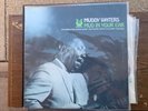 MUDDY WATERS  Mud In Your Ear 1973 LP MUSE 5008 MINT