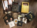 Panic  At The Disco Vices and Virtues Deluxe Box Set Limited Edition Brendon