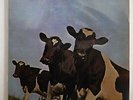 PINK FLOYD ATOM HEART MOTHER EMI EMS-80320 JAPAN INSERT VINYL LP
