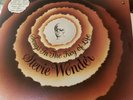 Vintage stevie wonder songs in the key of life vinyl