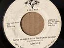 DRY ICE: Don't Munkey 45 Jewel '74 proto-punk hard rock hear