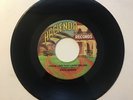 Steve Jordan “ You Lost That Loving Feeling” Tejano Tex Mex Record