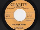 '60s GARAGE/White DooWop MIKE ROBIN/ROBINS So Glad I'm Crying CLARITY M- HEAR