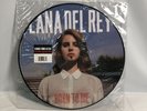 RARE Sealed Lana Del Rey 2013 RSD Exclusive Born To Die Picture Disc Vinyl - NEW