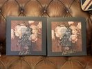 Signed Peter Hook & The Light - Power Corruption & Lies  - Vol 1 & 2 Vinyl LPs