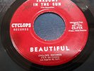 Beautiful -Shadows In The Sun Walters Dream Psych 45 Cyclops Lbl Kim Fowley VG+