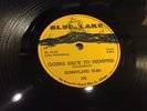 SUNNYLAND SLIM Blue Lake 105 Going Back To Memphis/Devil Is A Busy Man BLUES 78