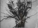 Spiritbox Exclusive Limited Edition Clear With Black Splatter Colored Vinyl LP