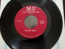 THE SHY GUYS BLACK LIGHTENING LIGHT/GOODBYE TO YOU MINT UNPLAYED OUTSTANDING