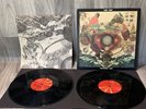 FLEET FOXES: Helplessness Blues US Sub Pop 2x LP Vinyl Indie Rock 2011